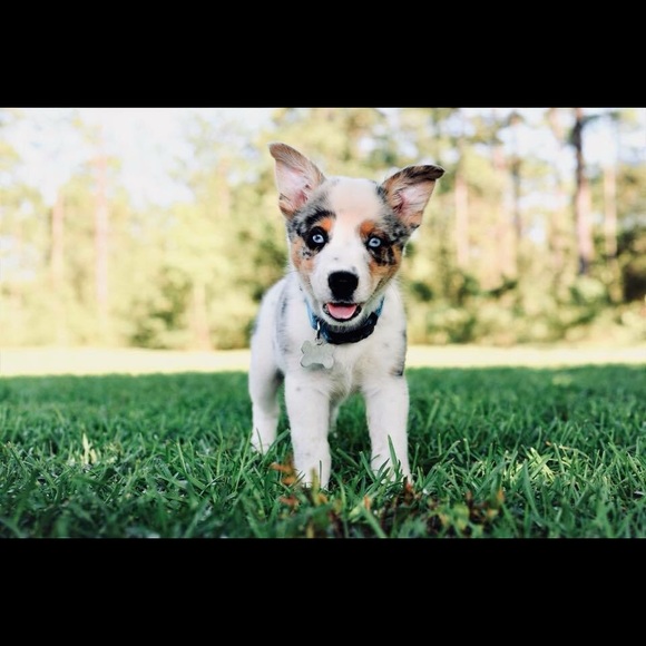 Meet your Posher, Ashely - Picture 1 of 1